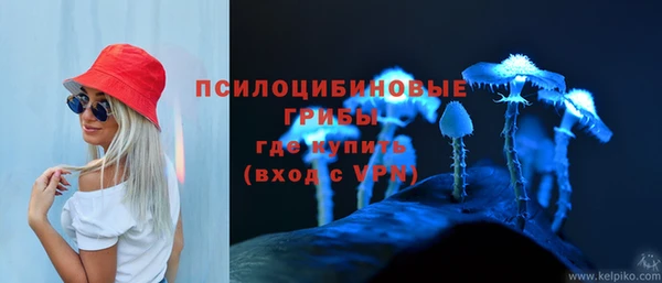 дживик Алзамай